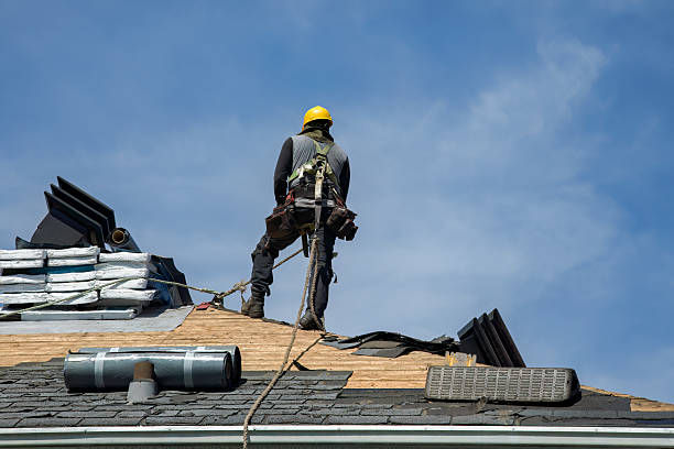 Professional Emergency Roof Repair technician working in Lincoln Park, MI